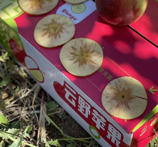 云野苹果福布瑞斯云南昭通苹果 5斤礼盒装 商品图1