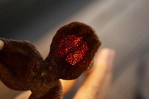 2015年天马冬后皮·50g 新会陈皮 | 问山严选 商品图2