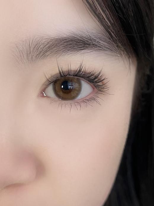 Rolalens月抛--维密棕 商品图10