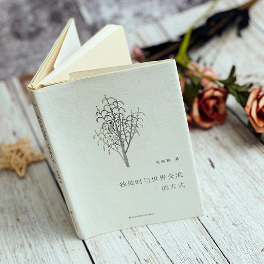 独处时与世界交流的方式 谜文库系列 张新颖诗歌集 精装正版 商品图8