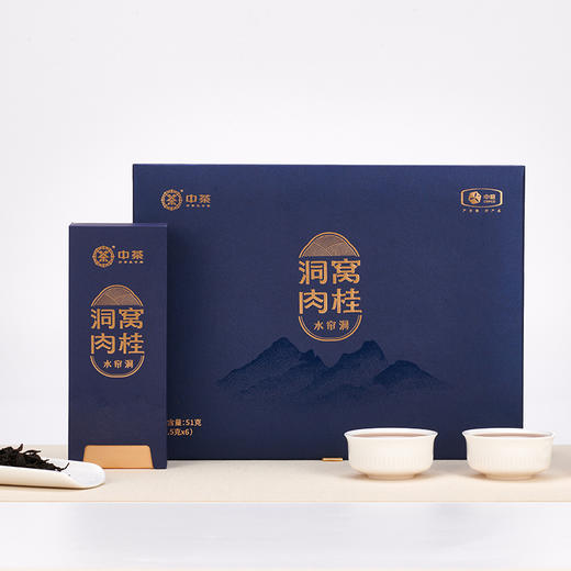 中茶 海堤 水帘洞 洞窝正岩肉桂茶 商品图1