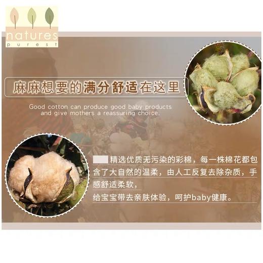 【云粉节】9楼英国natures purest（天然素彩）女宝宝内裤彩棉柔软舒适女童全棉内裤2件装丨吊牌价：188元 商品图2