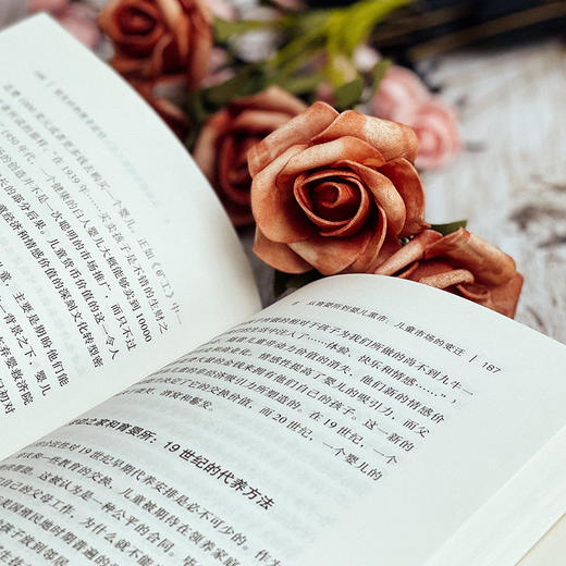 给无价的孩子定价 变迁中的儿童社会价值 赖特·米尔斯 商品图10