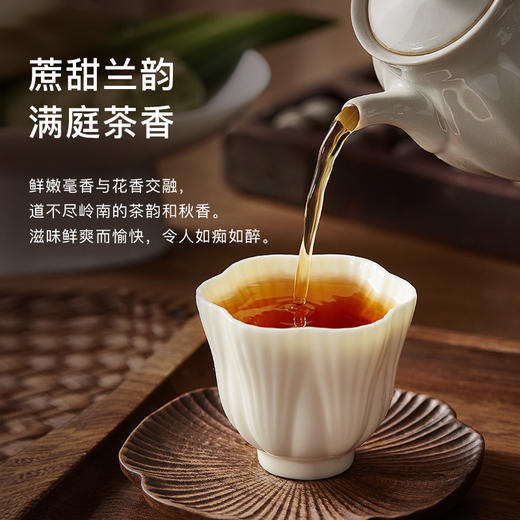 CHALI 黑标红茶 英九红茶 袋泡茶 茶里公司出品 商品图3