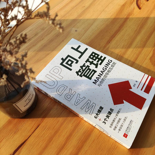 向上管理 与你的领导相互成就 萧雨 著 管理 商品图1