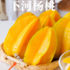 漳州香蜜杨桃 商品缩略图1