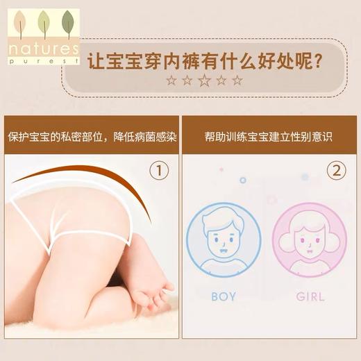 【云粉节】9楼英国natures purest（天然素彩）女宝宝内裤彩棉柔软舒适女童全棉内裤2件装丨吊牌价：188元 商品图3