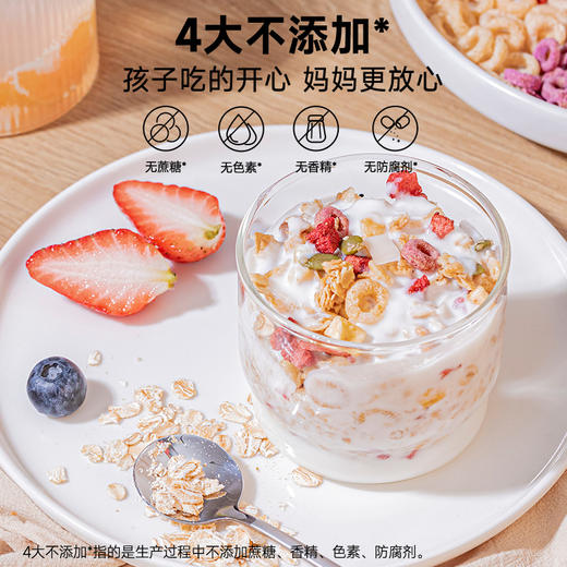 拾爸家⠀烘焙燕麦脆 | 甄选澳洲优质燕麦，添加益生元 商品图3