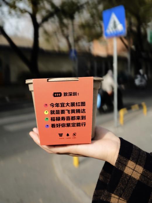 作物生长盆栽产品套装 商品图12