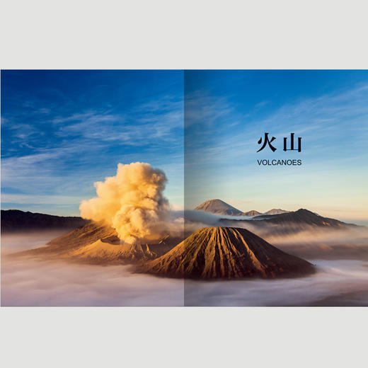 《BBC完美星球：地球生态大百科》 商品图5