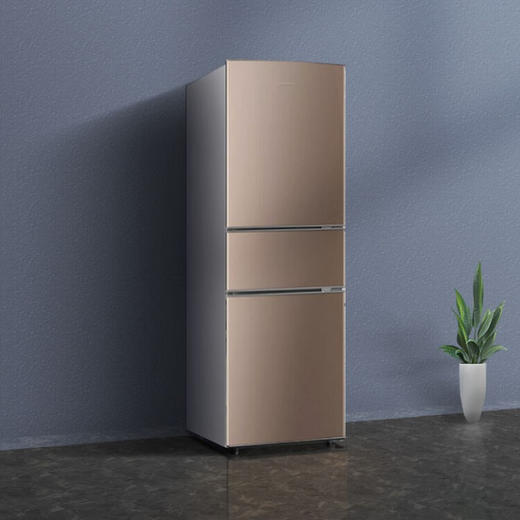 【新品家电】创维（Skyworth）BCD-192T冰箱家用餐厅冰箱压缩机超强制冷管整体折弯箱体 典雅棕 商品图1