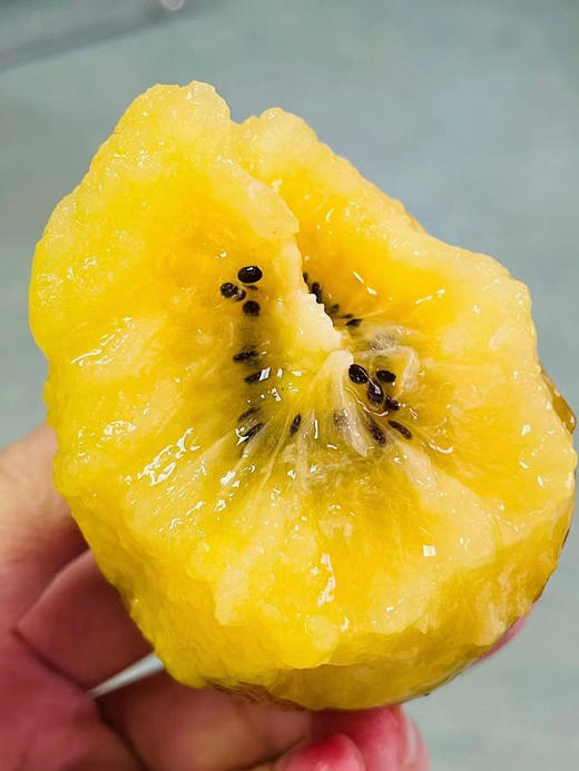 【进口】新一季！新西兰佳沛阳光金果＃特级果，新果季硬果带酸，放软吃！一天一颗，营养丰富 商品图1