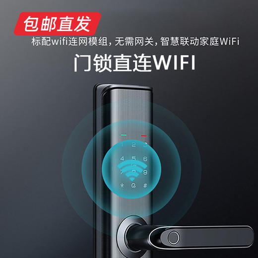 凯迪仕智能锁 S110 （包邮直发） 商品图2