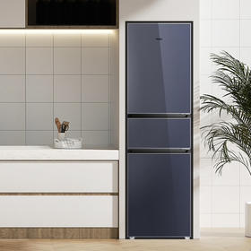 海尔（Haier）冰箱 BCD-218WGHC3R9B1