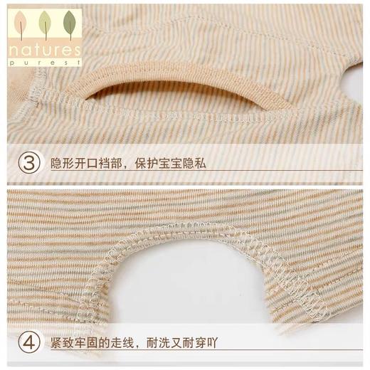 【云粉节】9楼英国natures purest（天然素彩）男宝宝平角内裤彩棉柔软舒适2件装丨吊牌价：198元 商品图4
