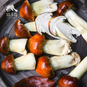 生态赤松茸 | 合作生产*  Ecological agaricus blazei murill | Coproduction