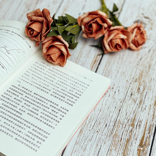 看上去很美 整形美容手术在中国 薄荷实验 揭示美貌神话 商品图7