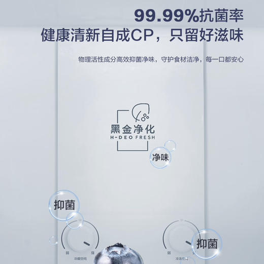 海尔（Haier）冰箱 BCD-218WGHC3R9B1 商品图9