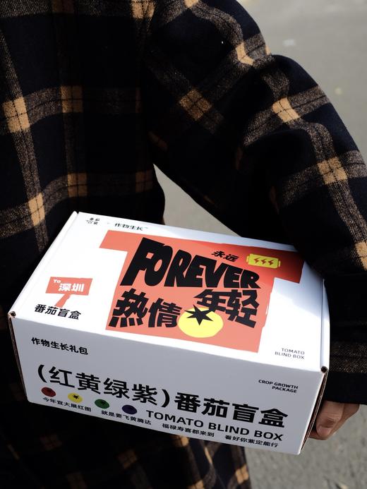 作物生长盆栽产品套装 商品图11