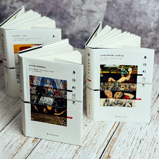 身体的历史（三卷本）3册套 傅雷翻译奖入围作品 西方完整的关于身体研究的文化史作品 商品图8