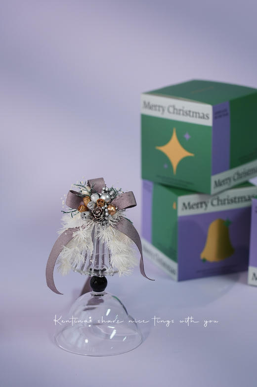Kentina圣诞节玻璃铃铛永生花挂件 商品图4