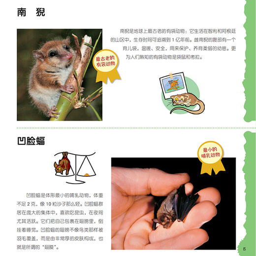 “奇妙动物在这里”系列（共2册）——《瞧，150种创纪录动物》+《瞧，100种危险动物》 商品图5