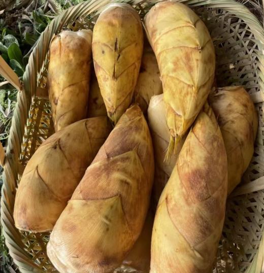 临安冬笋 商品图1