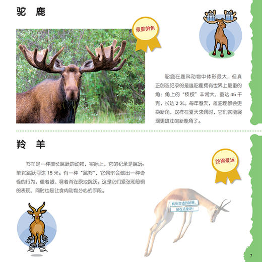 “奇妙动物在这里”系列（共2册）——《瞧，150种创纪录动物》+《瞧，100种危险动物》 商品图10