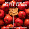 窝小芽山楂棒棒糖小零食休闲山楂制品*8支 商品缩略图1