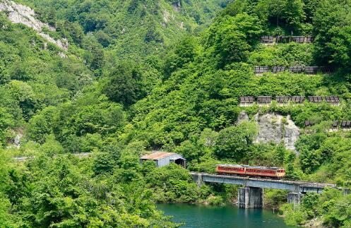 日本JR PASS铁路周游全国券 JR pass 7/14/21天 商品图10