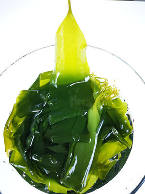 闽鲜肴盐渍海带嫩苗500g 商品图2