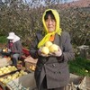山东黄金奶油富士苹果，苹果中的“土豪金”，晚熟45天，自带奶油香气，金黄诱人，爽脆飚汁~ 商品缩略图2