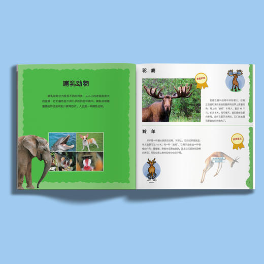 “奇妙动物在这里”系列（共2册）——《瞧，150种创纪录动物》+《瞧，100种危险动物》 商品图2