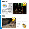 “奇妙动物在这里”系列（共2册）——《瞧，150种创纪录动物》+《瞧，100种危险动物》 商品缩略图9