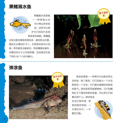 “奇妙动物在这里”系列（共2册）——《瞧，150种创纪录动物》+《瞧，100种危险动物》 商品图9