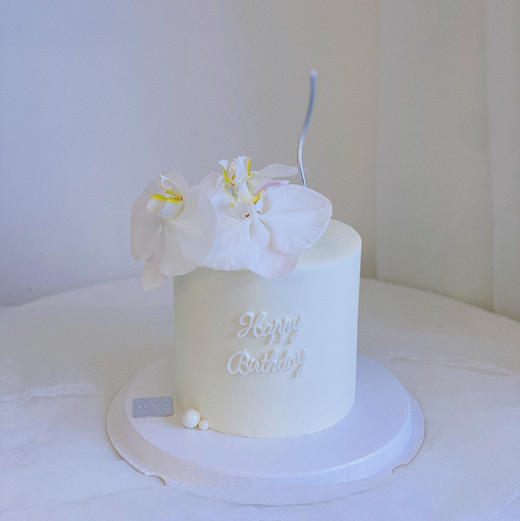 蝴蝶兰B 商品图1