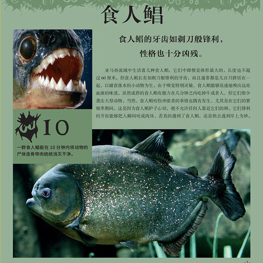 “奇妙动物在这里”系列（共2册）——《瞧，150种创纪录动物》+《瞧，100种危险动物》 商品图4
