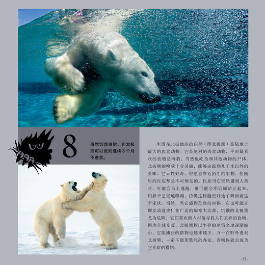 “奇妙动物在这里”系列（共2册）——《瞧，150种创纪录动物》+《瞧，100种危险动物》 商品图6