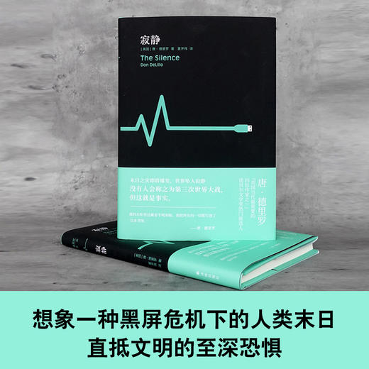 寂静 德里罗作品 商品图2