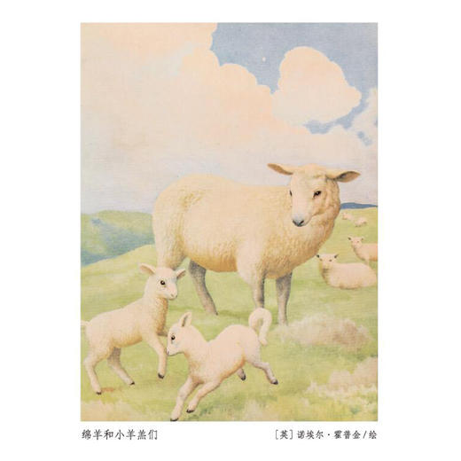 《走，去野外》(全4册) 商品图5