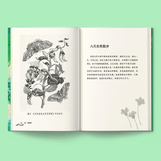 《走，去野外》(全4册) 商品图4
