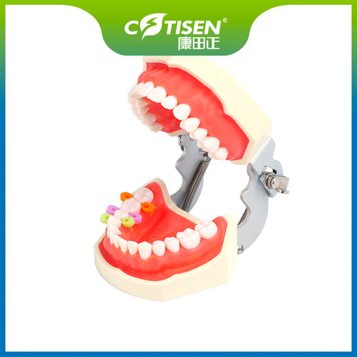 楔子SC0301（硅胶楔子） 商品图1