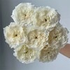 百利信玫瑰花耐心玫瑰10支 商品缩略图1