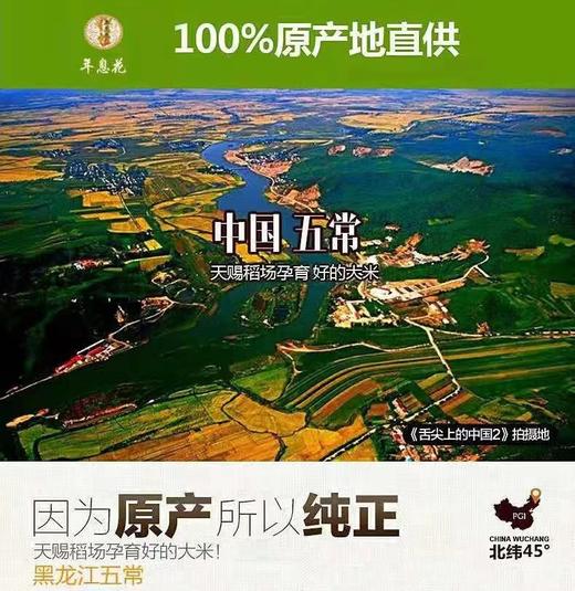 XFBF-年息花五常珍珠米-5kg 商品图1