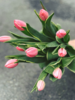 【周四秒杀】粉色郁金香8枝69.8元 商品缩略图0