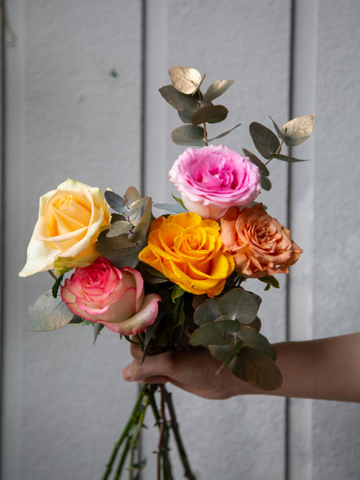 混色玫瑰（5支） 颜色随机 商品图2