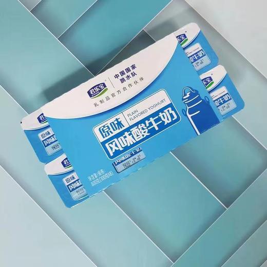 君乐宝原味板100克*8杯 商品图0