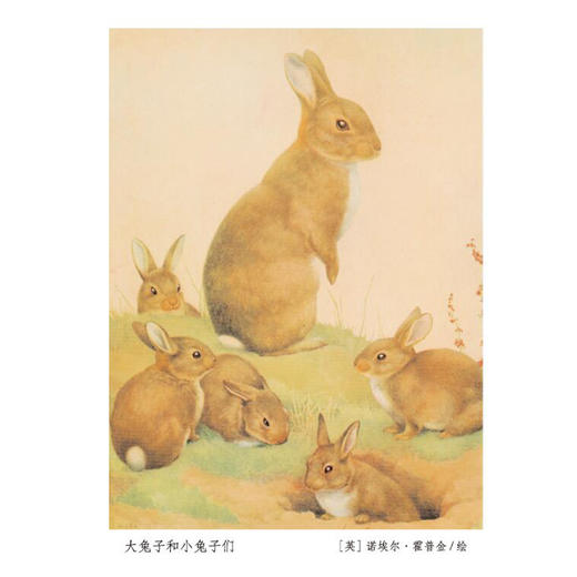 《走，去野外》(全4册) 商品图6