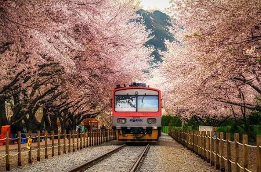 日本JR PASS铁路周游全国券 JR pass 7/14/21天 商品图7