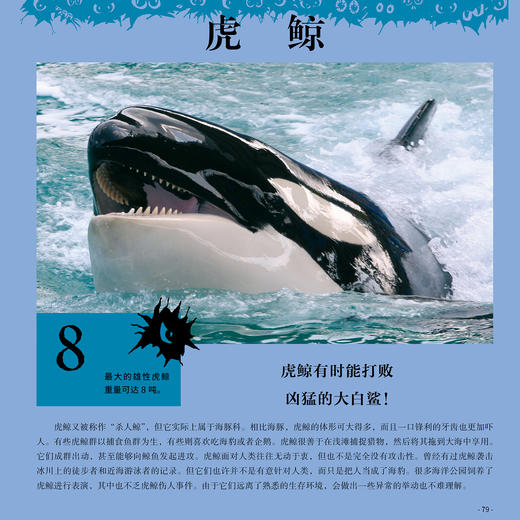 “奇妙动物在这里”系列（共2册）——《瞧，150种创纪录动物》+《瞧，100种危险动物》 商品图8